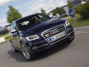 Audi SQ5 TDI 2013 года  (WW)